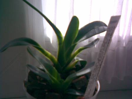 07072009.jpg