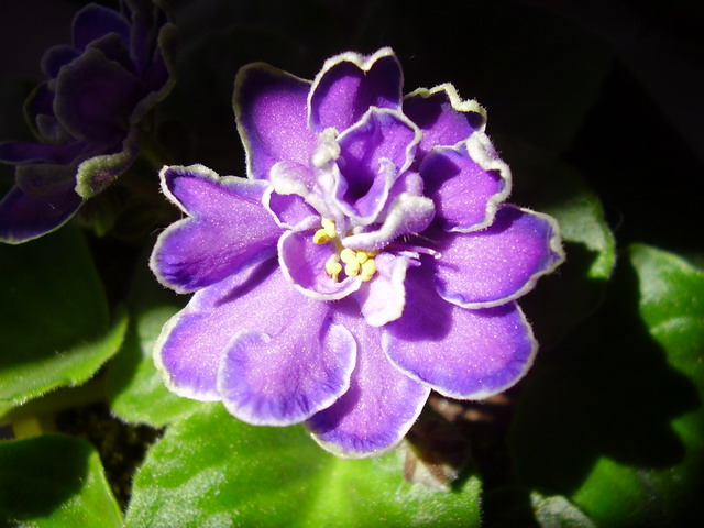 P5040082_resize.JPG