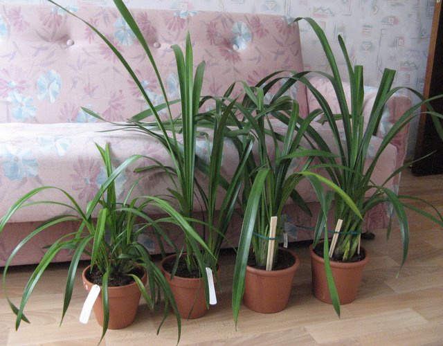 image0.jpg