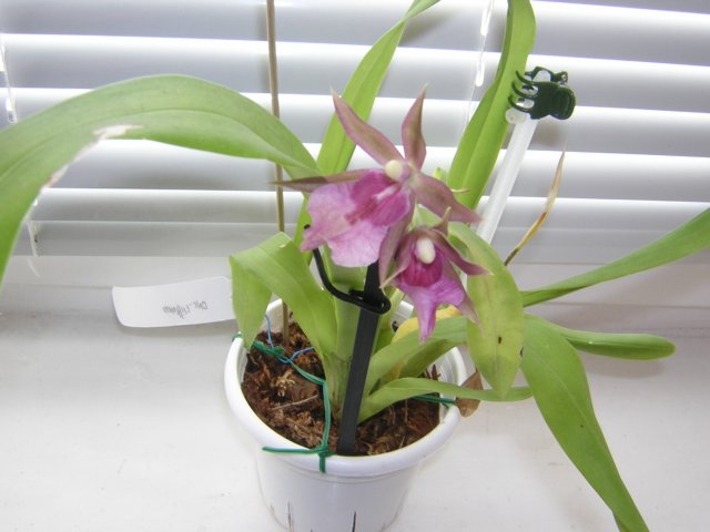DSCN3742.jpg