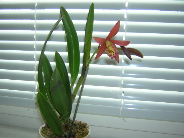 DSCN3816.jpg
