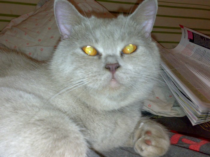 08062009023.jpg