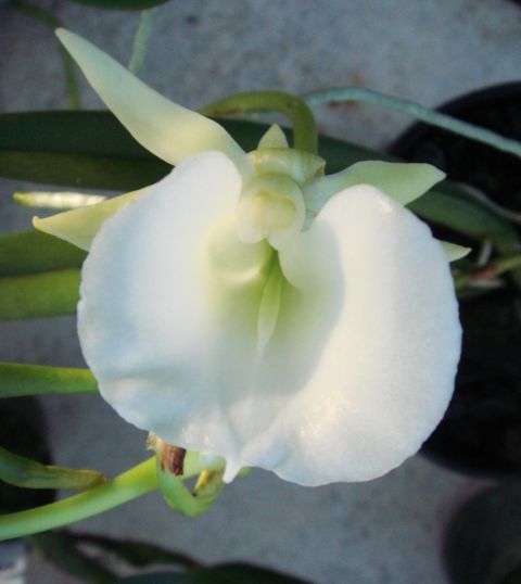 DSC05495.JPG