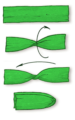 fir3.jpg