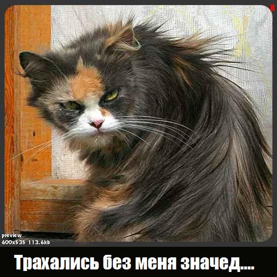 aga.jpg