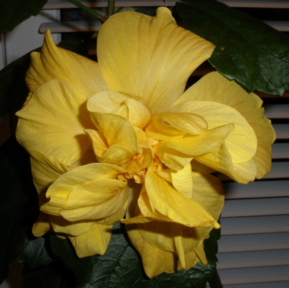 P9161644.JPG