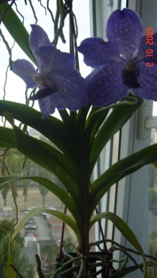DSC00552.JPG