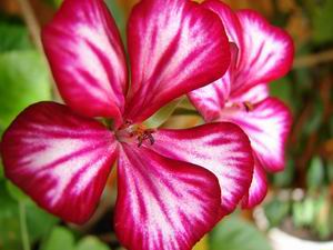DSC00011_1.jpg