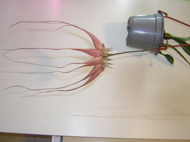 DSCN4222.jpg