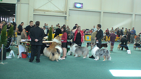 DSC01442.JPG