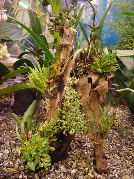 DSC03876  11.JPG