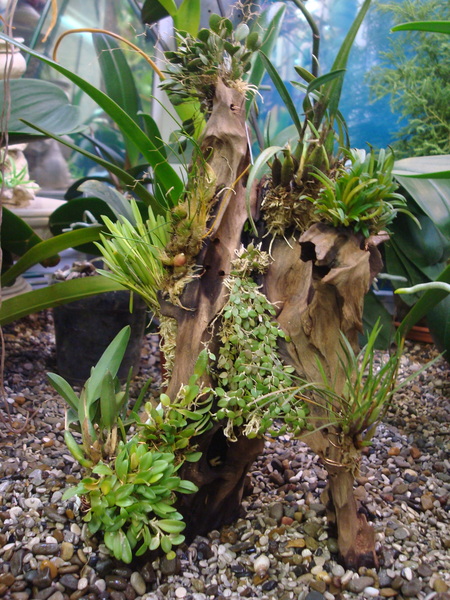DSC03871  11.JPG