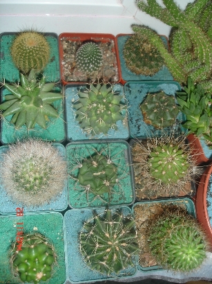 Изображение 011.jpg