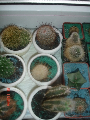 Изображение 012.jpg