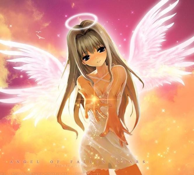 angel.jpeg