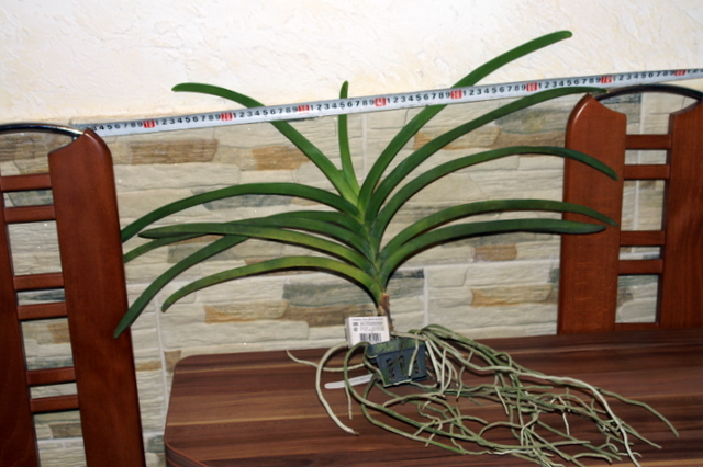 PICT2558.JPG