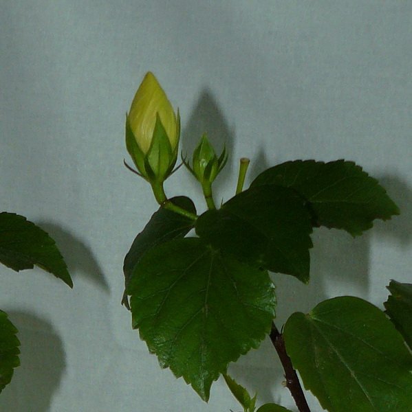 0fa981f5bdf6.jpg