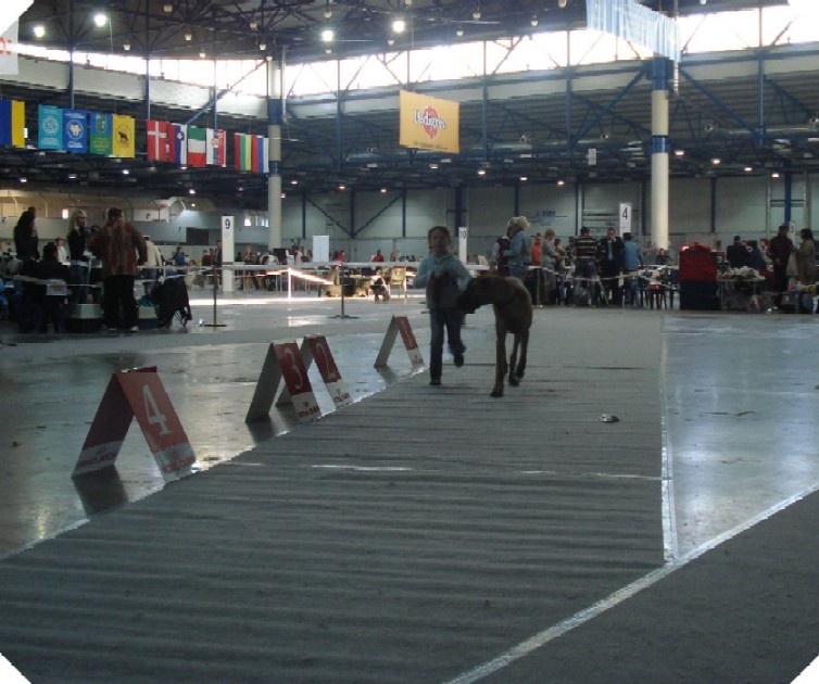 DSC06655.JPG