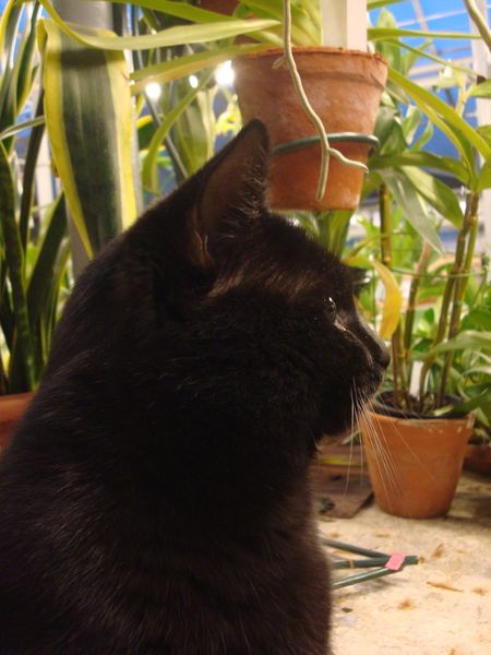 DSC04149  11.JPG