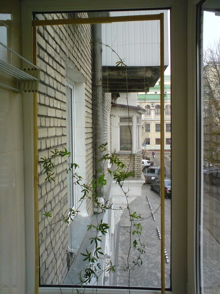 DSC01293.jpg