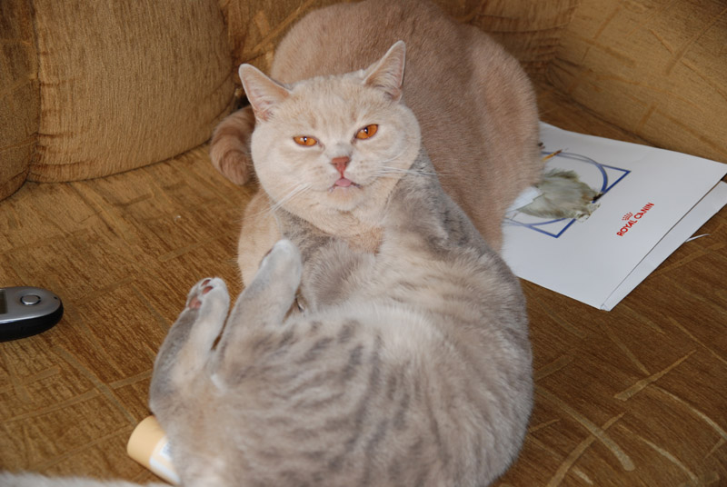 DSC_7305.JPG