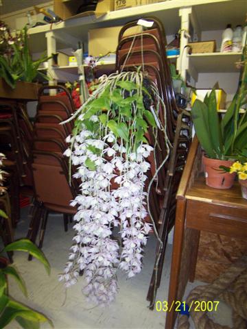 100_3045%20(Small).jpg