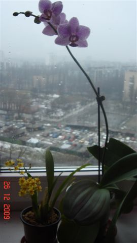 DSC00588.JPG