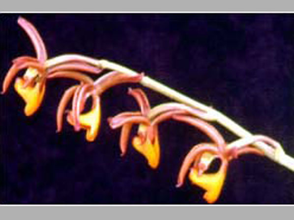JB2283.jpg
