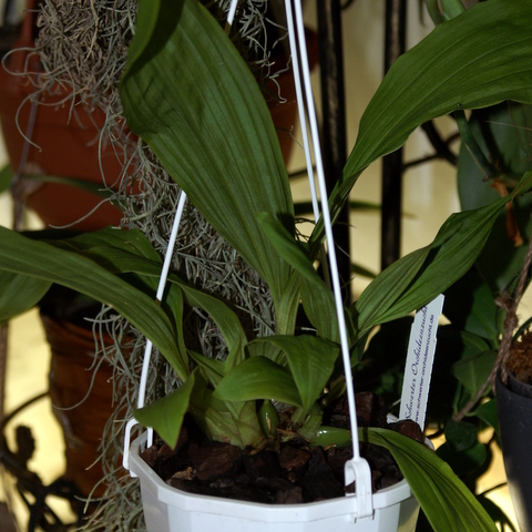 PICT2573-1.JPG