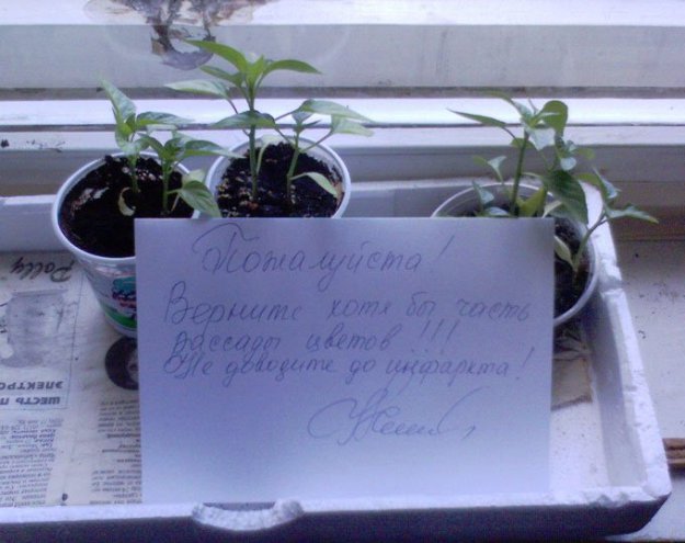 149517_259764.jpg