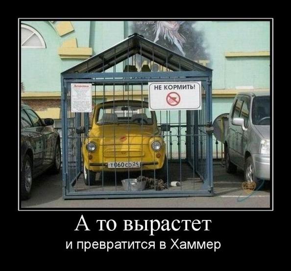 152463_268226.jpg