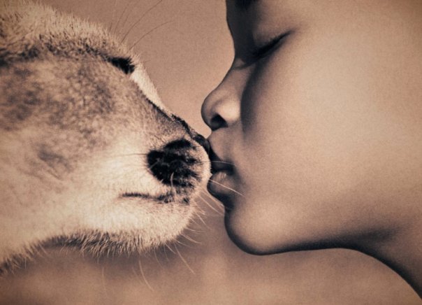 kiss.jpg