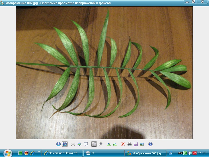Screenshot_2.jpg