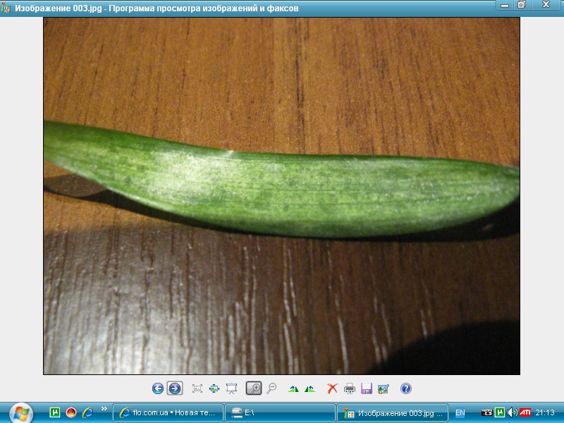 Screenshot_3.jpg