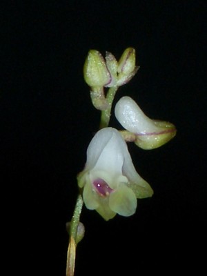 CIMG5333-web.jpg