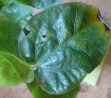 DSC01503 ум.JPG
