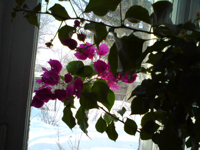 DSC00502.JPG