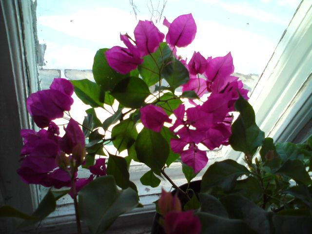 DSC00504.JPG