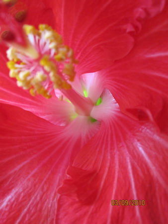 Big Tango_серединка