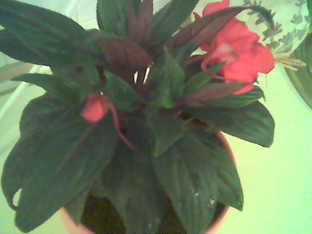 Image008.jpg