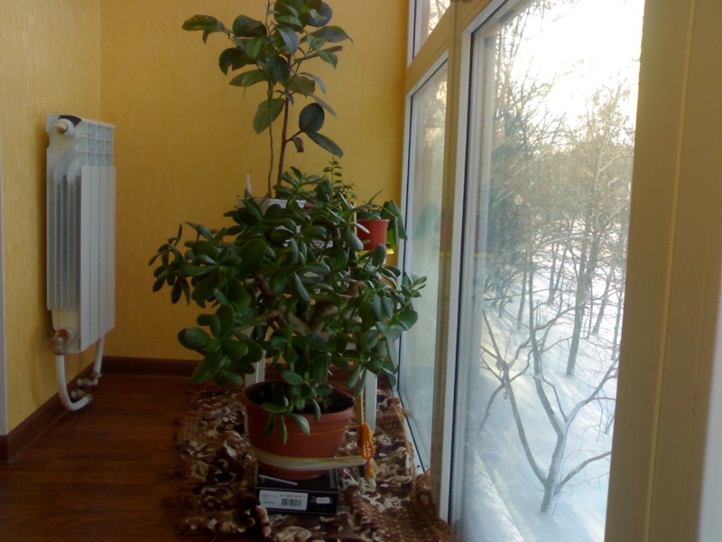 21022009350a.jpg