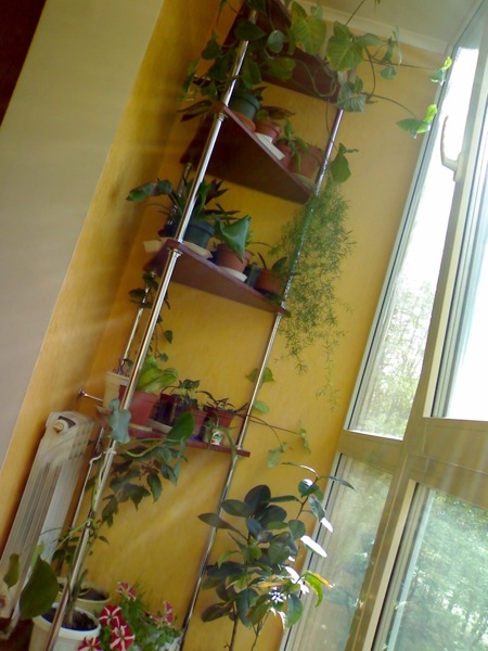 30042009397a.jpg