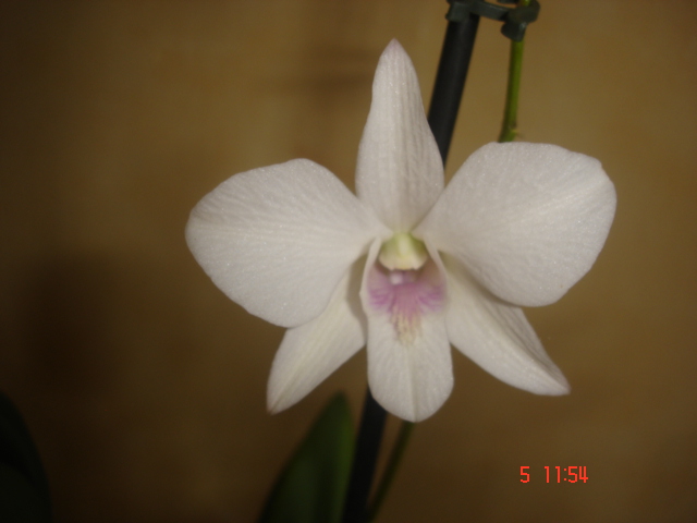 DSC06751.JPG