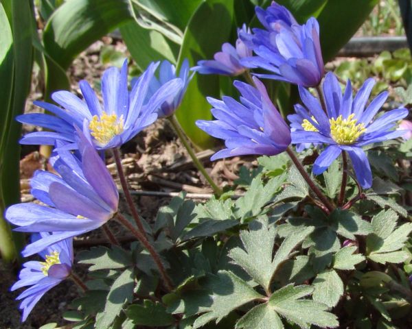 DSC08122.jpg