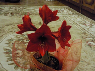 Photo0114.jpg
