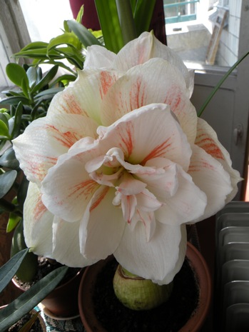DSCN2825.JPG