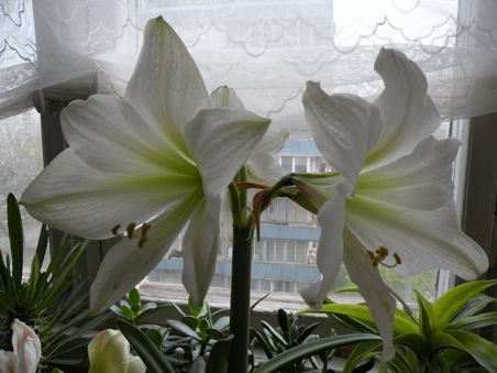 DSCN2804.JPG