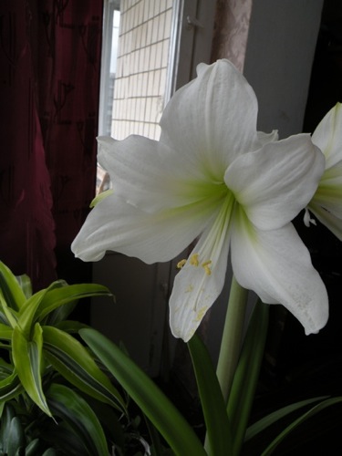 DSCN2805.JPG