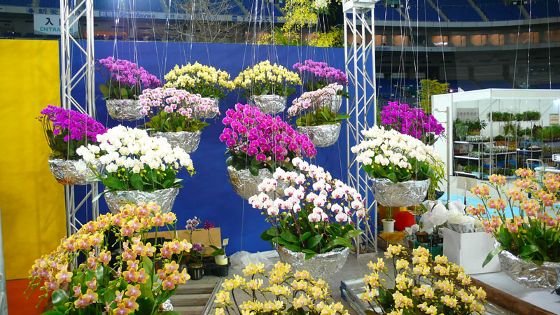 P1080418.jpg