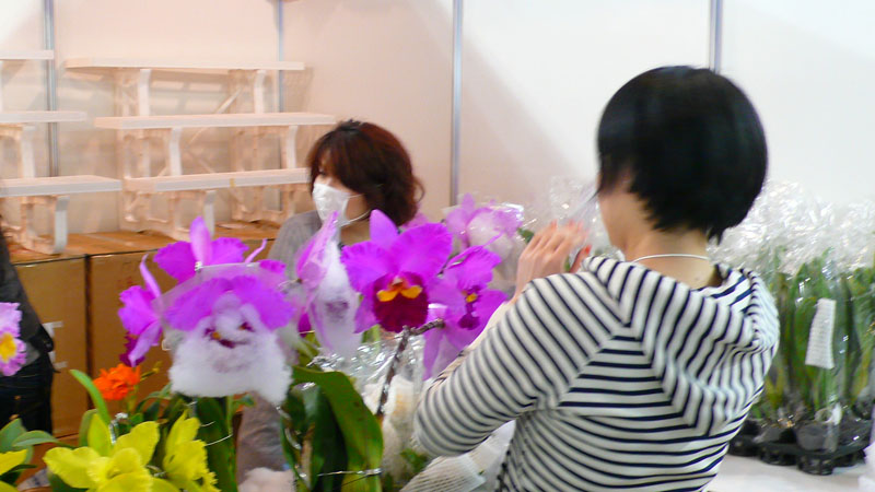 P1080419.jpg